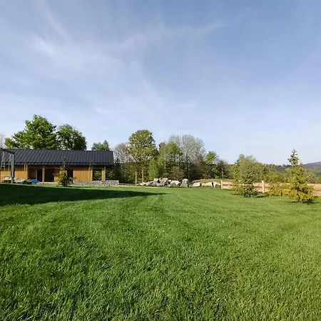 بيت للعطل Osada Wilcze - *