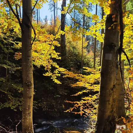 بيت للعطل Osada Wilcze - ايستينبا