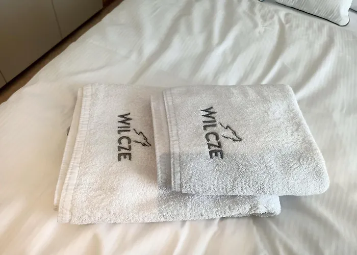 Prázdninový dům Osada Wilcze - *