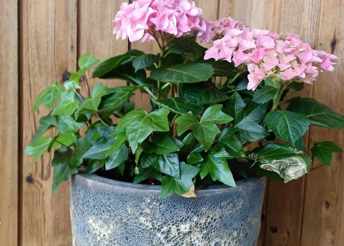 Osada Wilcze - Prázdninový dům Istebna