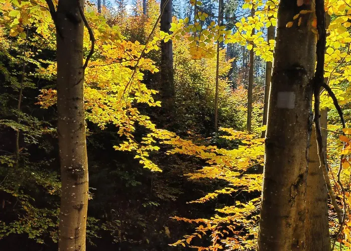 펜션 Osada Wilcze - 이스테브나